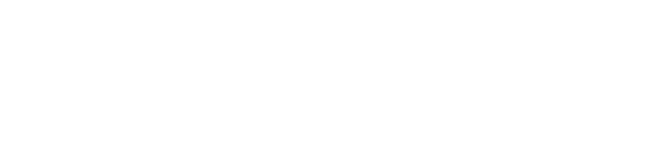 DanSebo Global Services Ltd